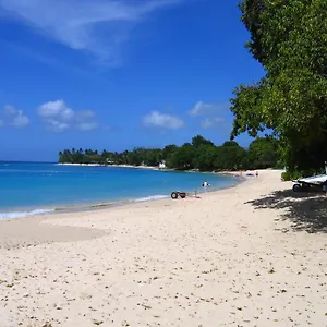 https://annwin-annex.comcaribbean.com